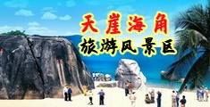 大奶美女被操在线观看海南三亚-天崖海角旅游风景区