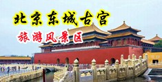 日B色色中国北京-东城古宫旅游风景区